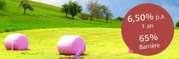 Possibilité attractive de placement