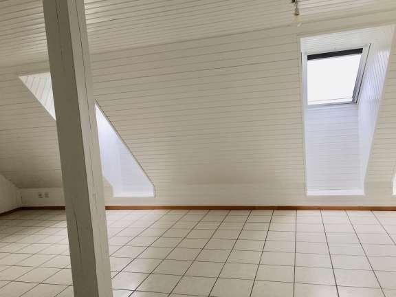 A louer spacieux appartement rénové à Neyruz