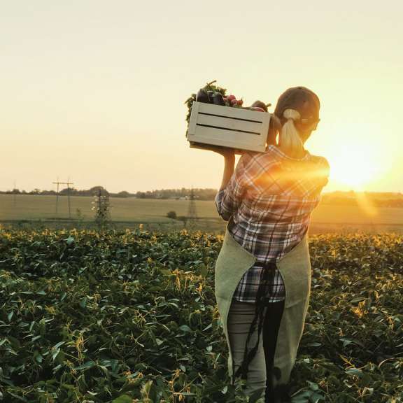 Raiffeisen « durabilise » sa gamme de fonds de placement !